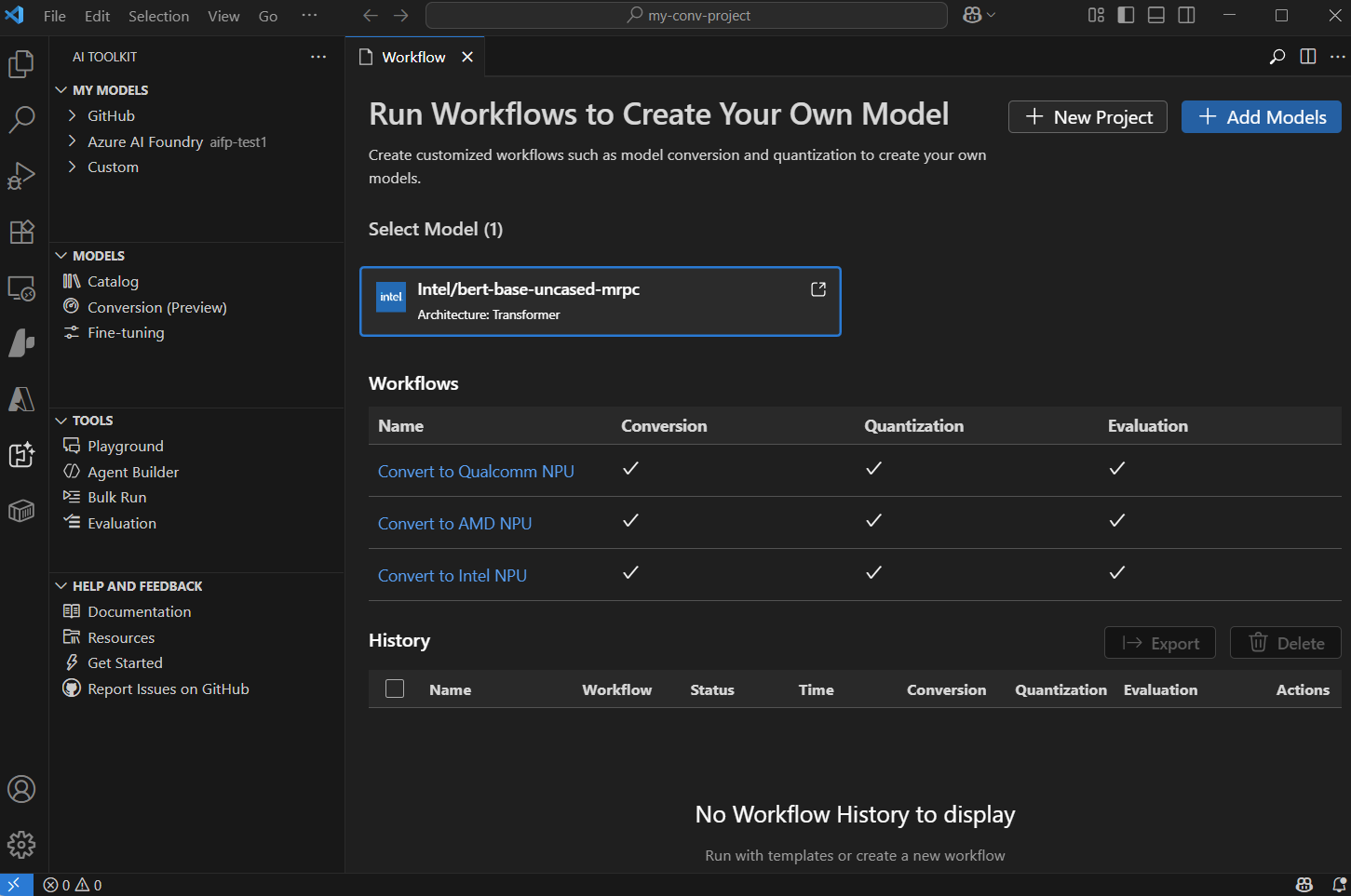 Screenshot showing the Model Conversion interface with tools for optimizing and transforming AI models